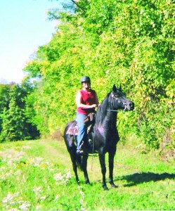 MS-MR-1-Buying a trail horse